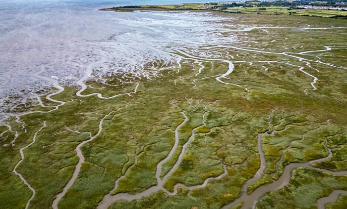An aerial photograph of the saltmarsh at WWT Llanelli
